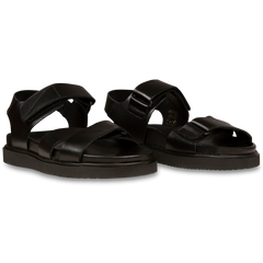Violette - Black