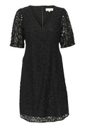 DelphinesPW DR - Black