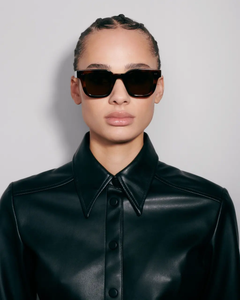 Tortoise #04