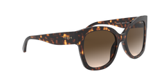 0VO5338S - Dark Havana/Brown Gradient