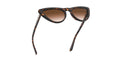 0VO5211SM - Dark Havana/Brown Gradient