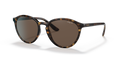 0VO5374S - Dark Havana/Brown