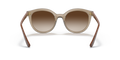 0VO5427S - Transparent Brown/Brown Gradient