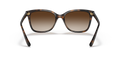 0VO5426S - Dark Havana/Brown Gradient