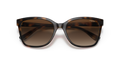 0VO5426S - Dark Havana/Brown Gradient