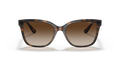 0VO5426S - Dark Havana/Brown Gradient