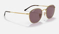 Rob - Gold - Violet Classic