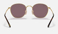 Rob - Gold - Violet Classic