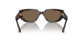 0VO5438S - Dark Havana/Dark Brown