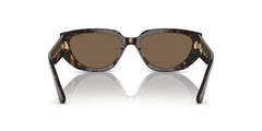 0VO5438S - Dark Havana/Dark Brown