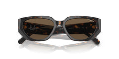 0VO5438S - Dark Havana/Dark Brown