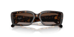 0VO5440S - Dark Havana/Brown Gradient