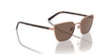 0VO4245S - Rose Gold/Dark Brown