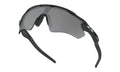 Radar EV Path - Polished Black - Prizm Black
