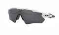 Radar EV Path - Polarized White