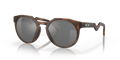 HSTN - Matte Brown Tortoise - Prizm Black Polarized
