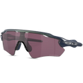 Radar Ev Path - Matte Silver - Prizm Road Black