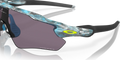 Radar Ev Path - Sanctuary Swirl - Prizm Grey