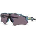 Radar Ev Path - Sanctuary Swirl - Prizm Grey
