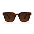 Tortoise #04
