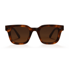 Tortoise #04