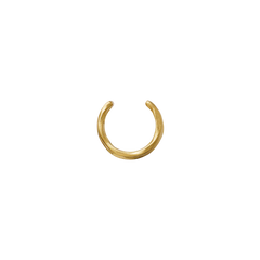 Ellis Earcuff - Gull