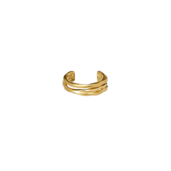 Ellis Earcuff - Gull