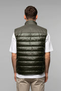 Index - Dark Olive