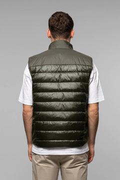 Index - Dark Olive