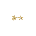 Mynte Earrings - Gold