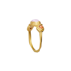 Nemo Ring - Gull