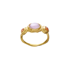 Nemo Ring - Gull