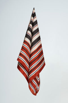 Rayures Scarf  - Multi
