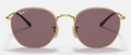 Rob - Arista - Dark Violet Polar