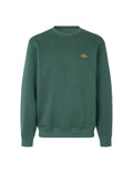 Standard Crew Logo Sweat - Darkest Spruce