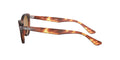 Nina - Brown Classic B-15 - Ray Ban - Tilbehør - VILLOID.no