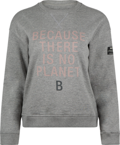 Llanesalf Because Woman Sweatshirt - Grey Melange