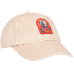 Patch Cap - Birch