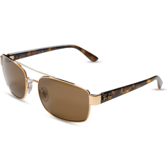 0RB3687 - Arista - Brown Polar