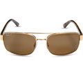 0RB3687 - Arista - Brown Polar