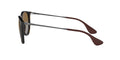Erika - Polar Brown Gradient - Ray Ban - Tilbehør - VILLOID.no